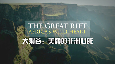 东非自然片《东非大裂谷 美丽的非洲心脏 The Great Rift: Africa’s Wild Heart》第一季 英语中字 全6集MP4下载 - 少儿专区