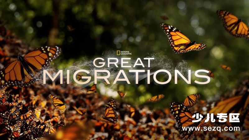 动物大迁徙 - 动画资源画廊第1张