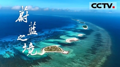 国产纪录片《蔚蓝之境 The Blue Planet of China》第一季 国语版 全6集TS下载 - 少儿专区