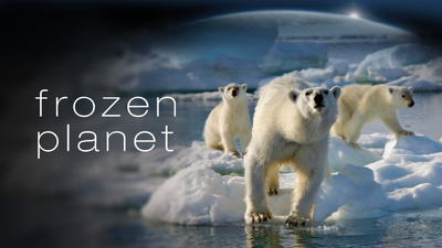 BBC纪录片《冰冻星球 Frozen Planet》第一季 国语中英双字 全8集MKV下载 - 少儿专区