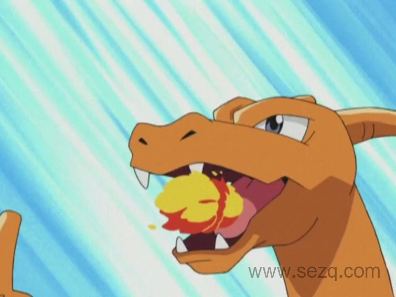 精灵宝可梦：无印篇 - 动画资源画廊第7张