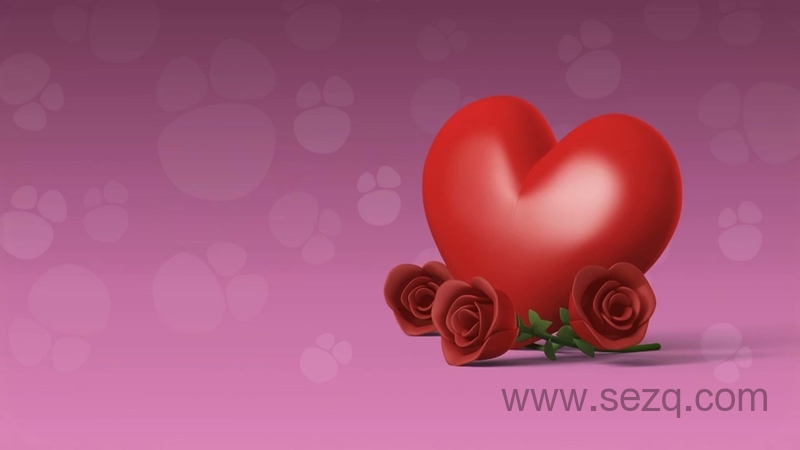 奇宝萌兵 - 动画资源画廊第3张