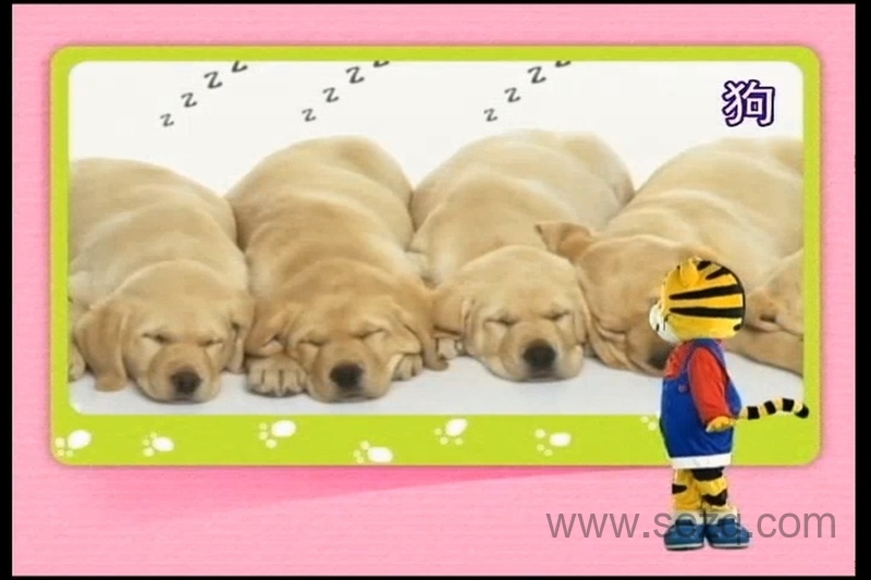 巧虎彩虹版6~7岁 2015年1月~12月 - 动画资源画廊第5张