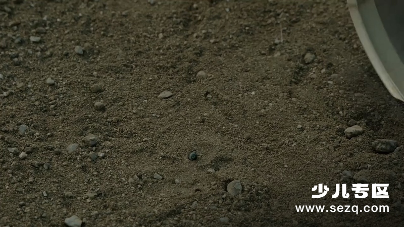 蓝猫龙骑团之炫迪传奇 - 动画资源画廊第4张