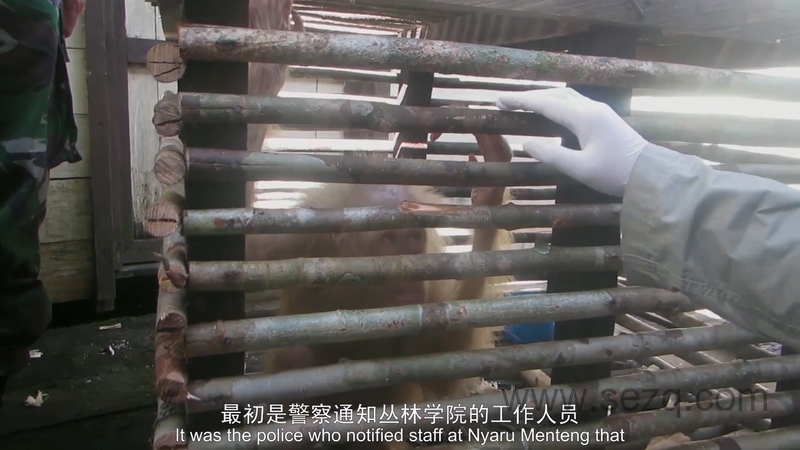 猩球学院 - 动画资源画廊第5张