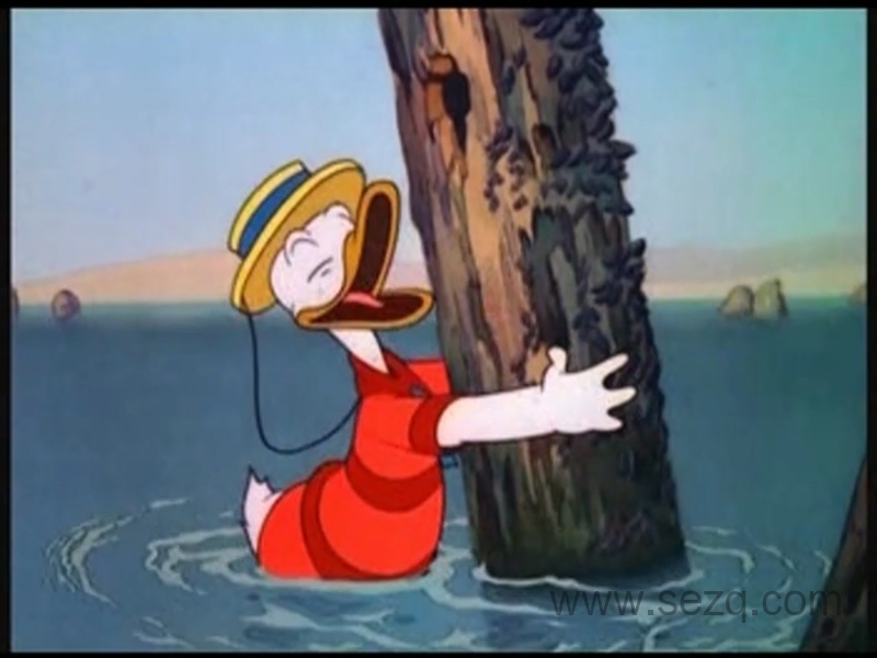 唐老鸭的幸福生活 - 动画资源画廊第4张