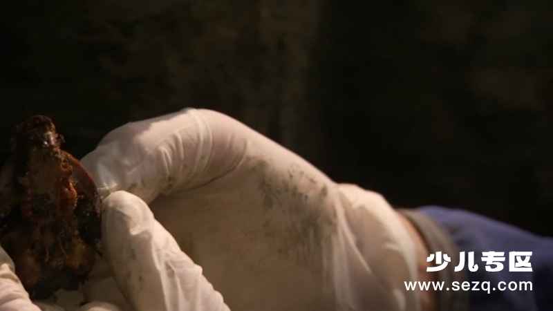 冰河巨兽 - 动画资源画廊第6张