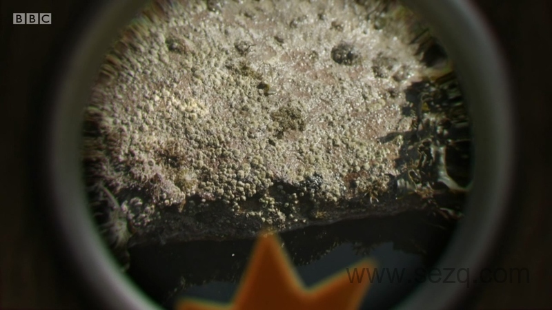 小奇迹 - 动画资源画廊第3张