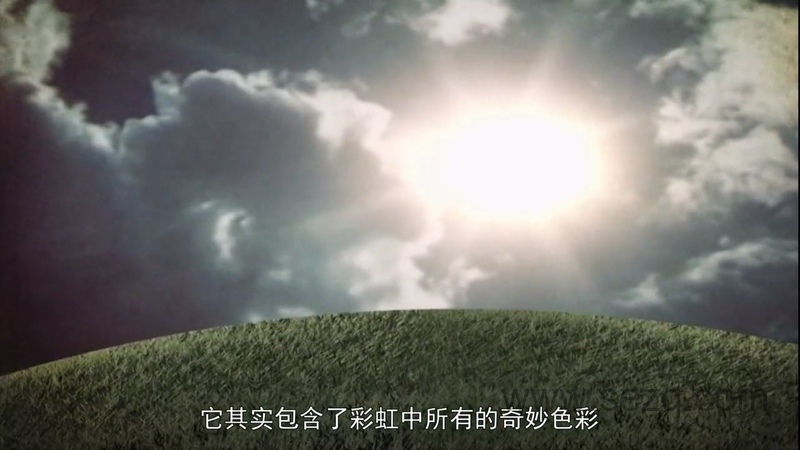 你最想知道的科学 - 动画资源画廊第3张