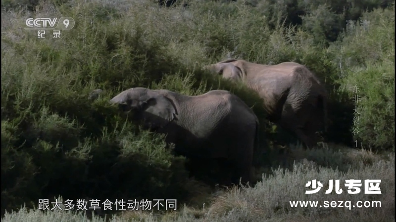 东非大裂谷 美丽的非洲心脏 - 动画资源画廊第9张