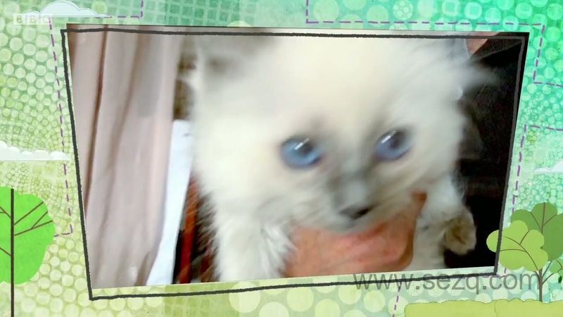 萌宠与我 - 动画资源画廊第4张