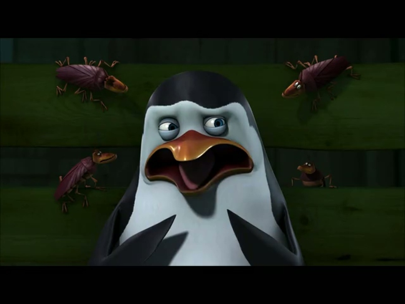 马达加斯加的企鹅 - 动画资源画廊第6张