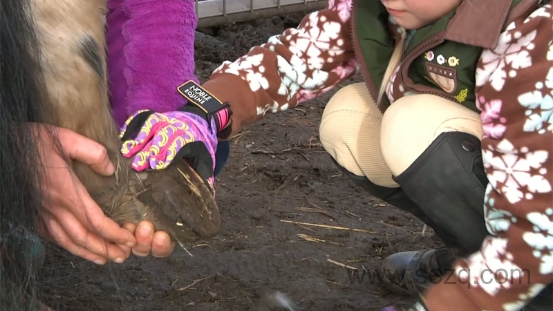 Blippi英语启蒙动画 - 动画资源画廊第2张