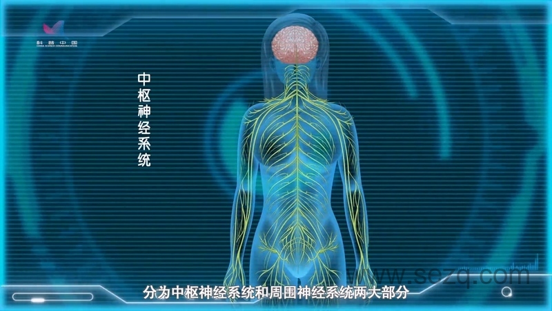 酷杰的科学之旅：人体奥秘 - 动画资源画廊第7张