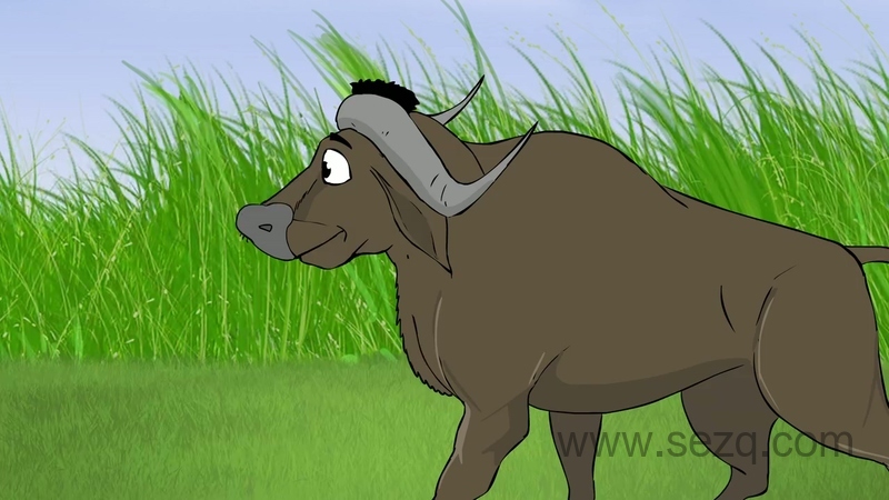 詹布的丛林冒险 - 动画资源画廊第2张