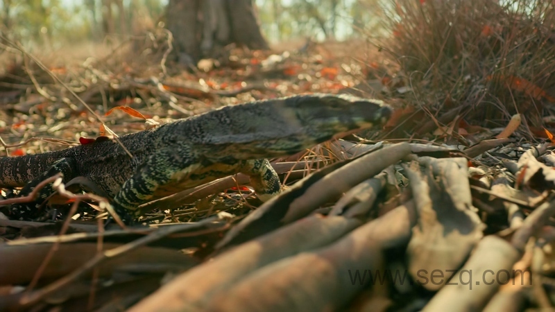 小小世界 - 动画资源画廊第6张