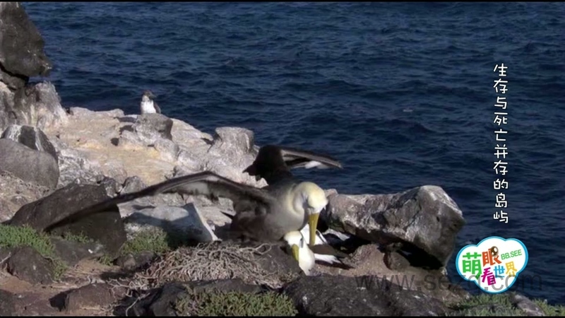 萌眼看世界 - 动画资源画廊第6张