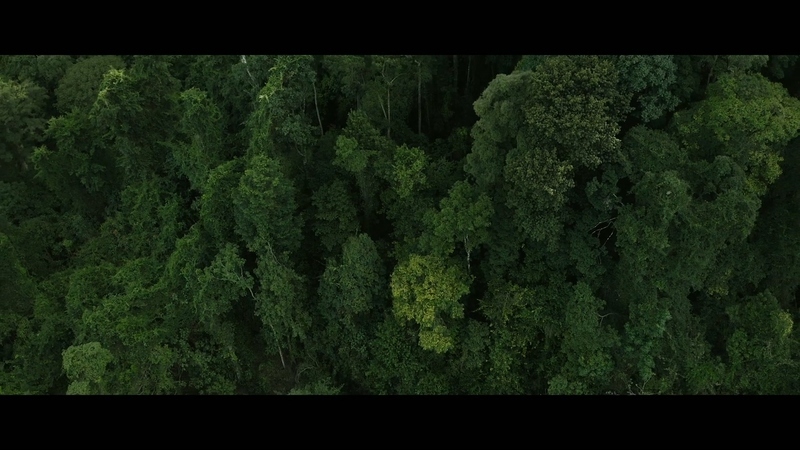 外星世界 - 动画资源画廊第1张