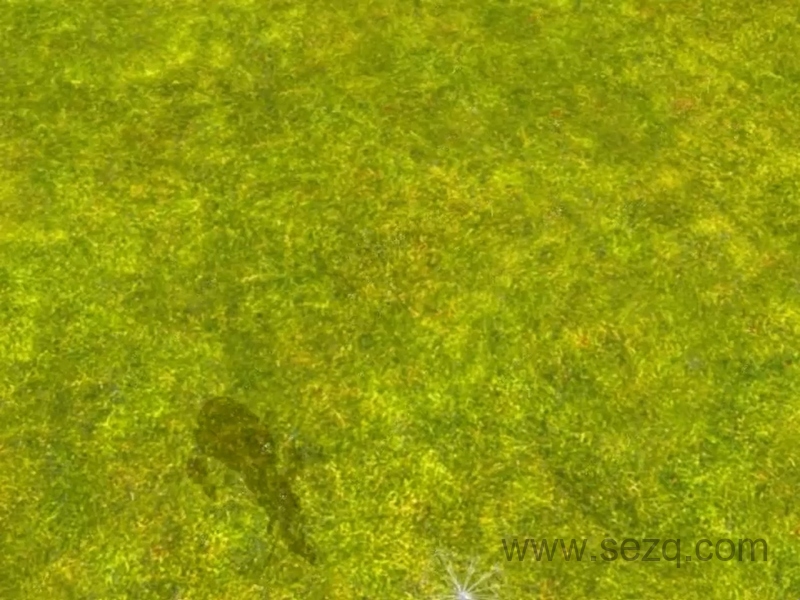 布奇乐乐园系列之儿歌精选 - 动画资源画廊第6张