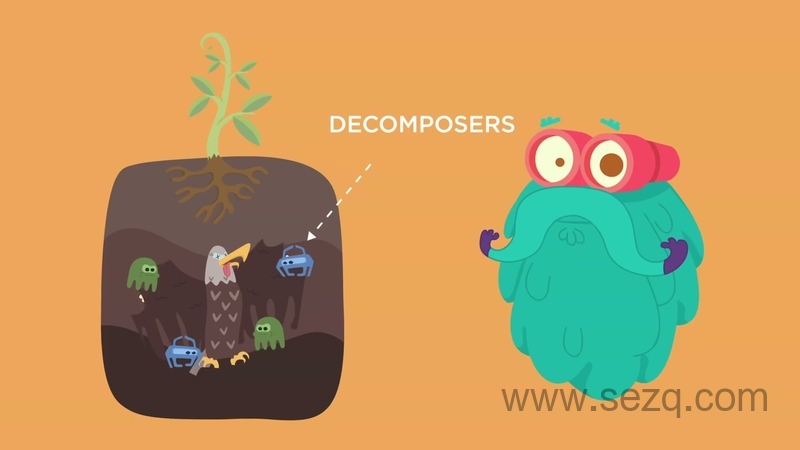 皮克布克儿童 - 动画资源画廊第2张