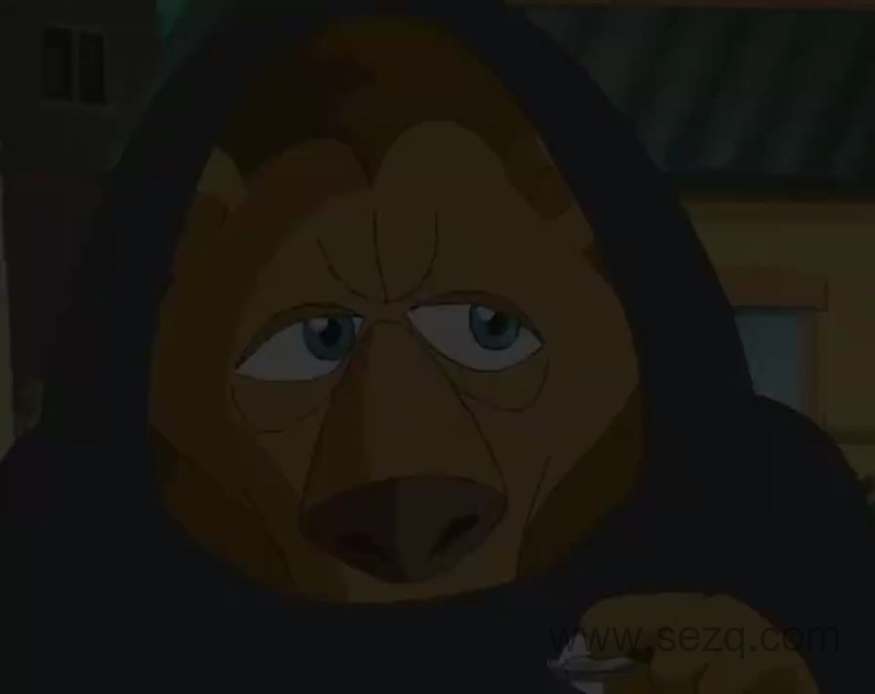 杰米熊之神奇魔术 - 动画资源画廊第9张