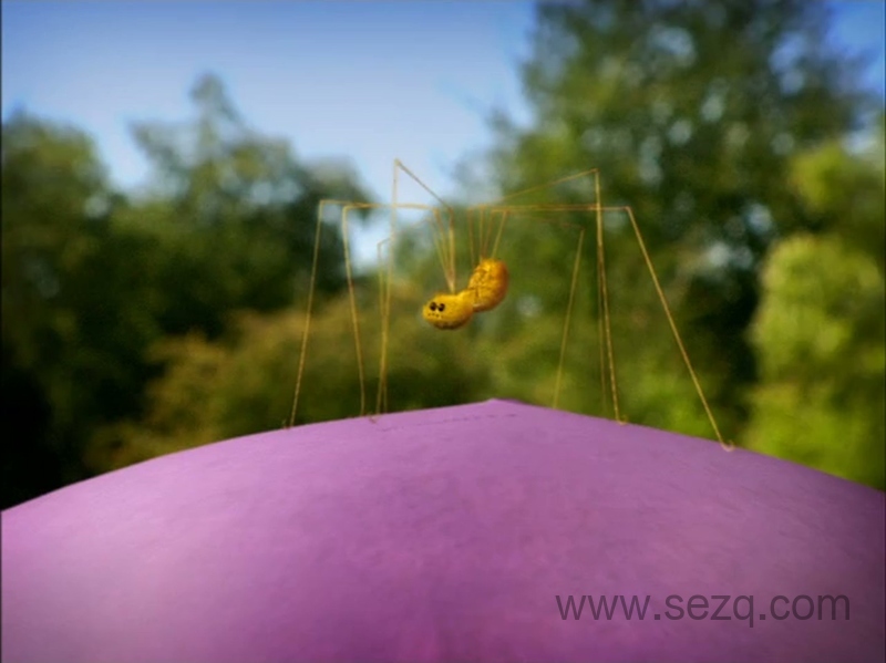 昆虫小世界 - 动画资源画廊第9张