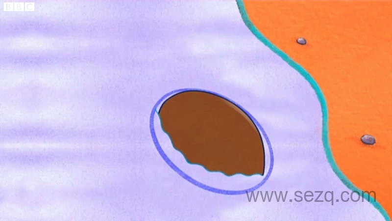 动物街64号 - 动画资源画廊第6张