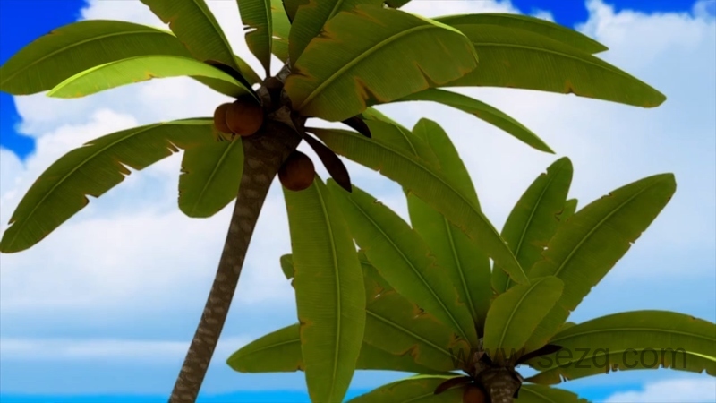 瑞奇的海底历险 - 动画资源画廊第9张