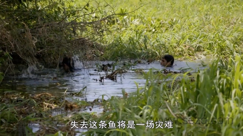 奇迹之地 - 动画资源画廊第3张