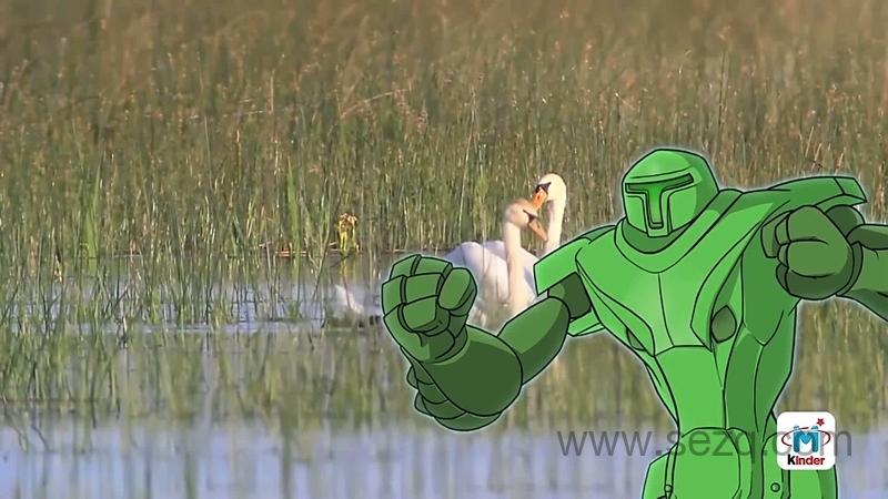 宝宝爱玩具 - 动画资源画廊第7张