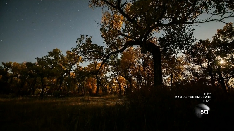 了解宇宙如何运行 - 动画资源画廊第7张