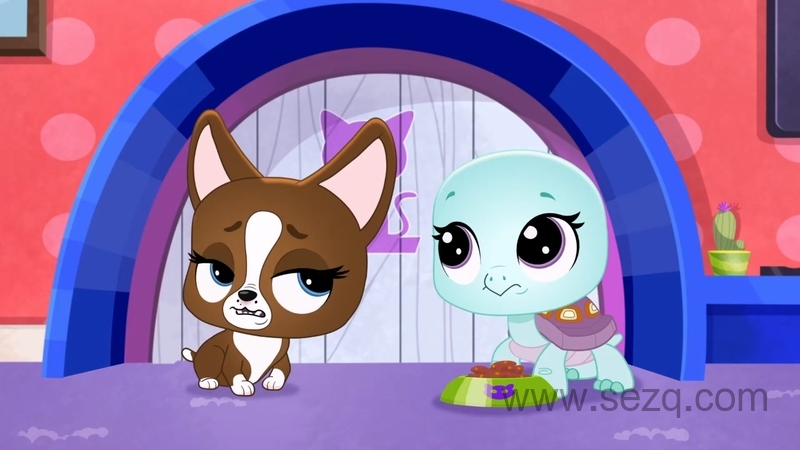 小布的宠物世界：我们自己的世界 - 动画资源画廊第4张