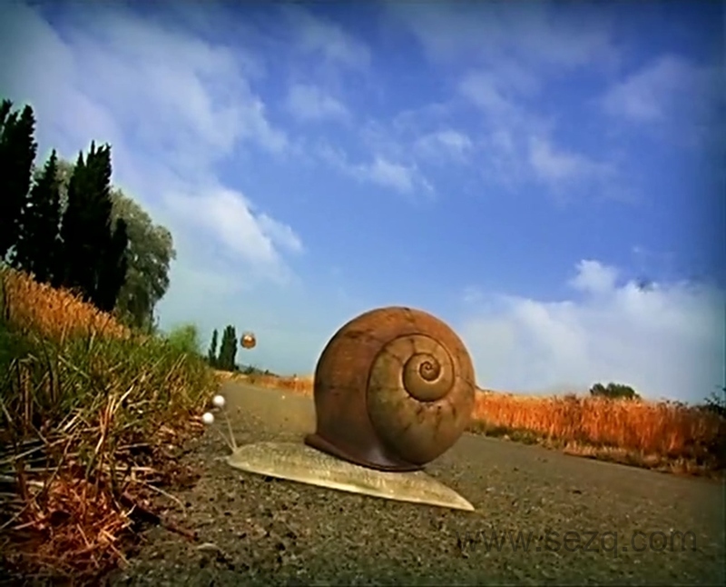 微观小世界 - 动画资源画廊第4张