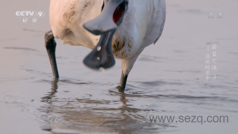 蔚蓝之境 - 动画资源画廊第8张