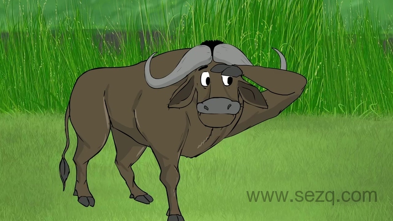 詹布的丛林冒险 - 动画资源画廊第6张