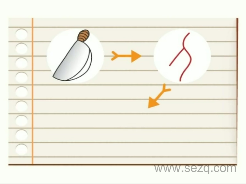 和巧虎一起学 - 动画资源画廊第8张