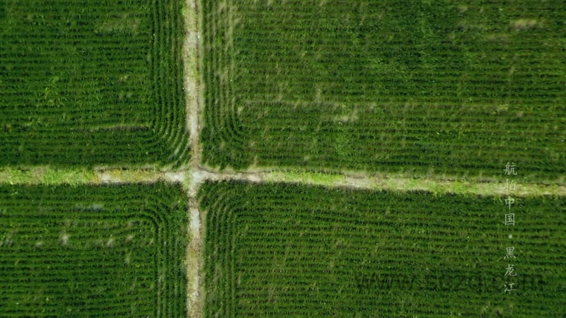 航拍中国 - 动画资源画廊第9张