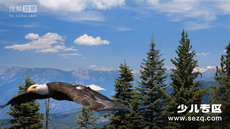 科学小子席德 - 动画资源画廊第5张