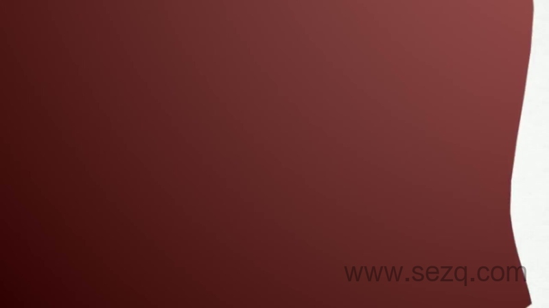 SOLO1～6岁美国原版幼儿园启蒙英语 - 动画资源画廊第4张