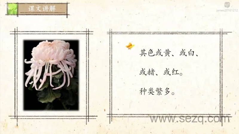 爱上小古文 - 动画资源画廊第2张