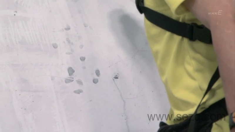 大科学实验 - 动画资源画廊第4张