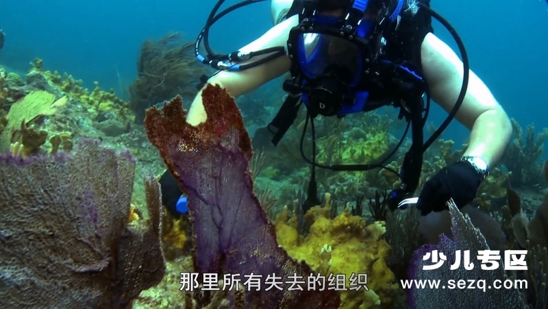 风暴星球 - 动画资源画廊第5张