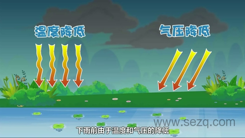 兔小贝之神奇的大自然 - 动画资源画廊第7张