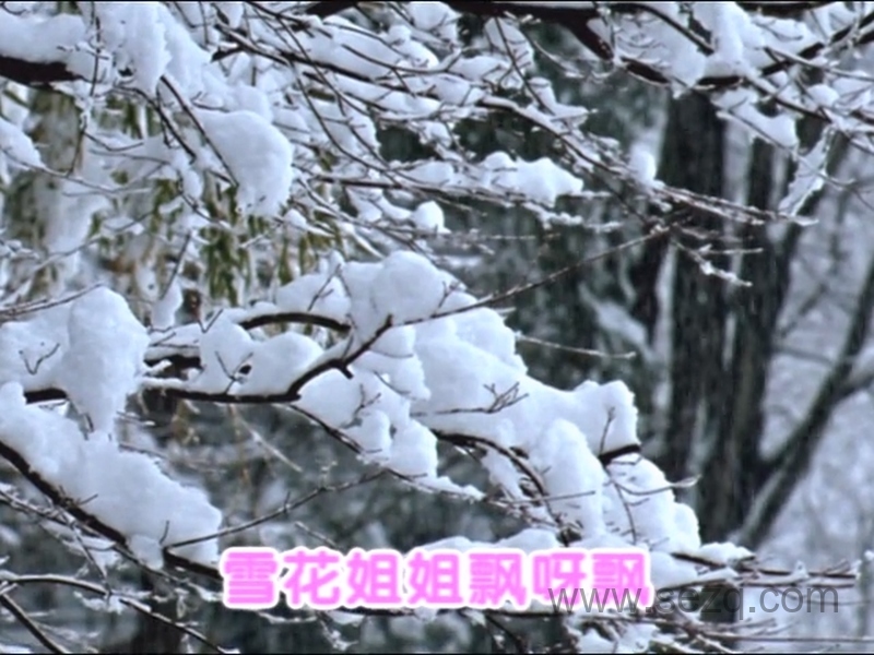 巧虎宝宝版1~2岁 2011年1月~12月 - 动画资源画廊第9张