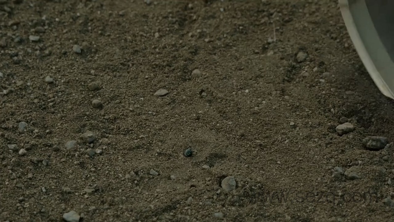 来自奇星的小伙伴 - 动画资源画廊第7张