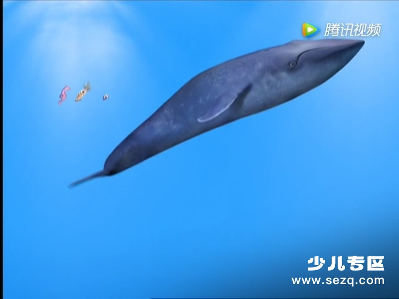 神奇宠物救援队 - 动画资源画廊第6张