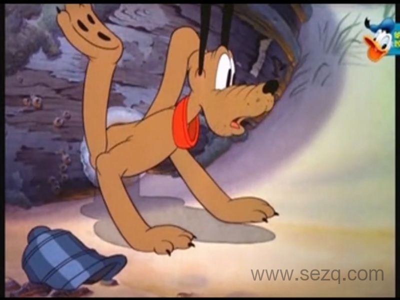 唐老鸭的幸福生活 - 动画资源画廊第1张