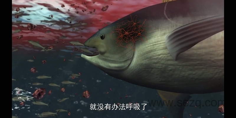海底世界总动员 - 动画资源画廊第4张