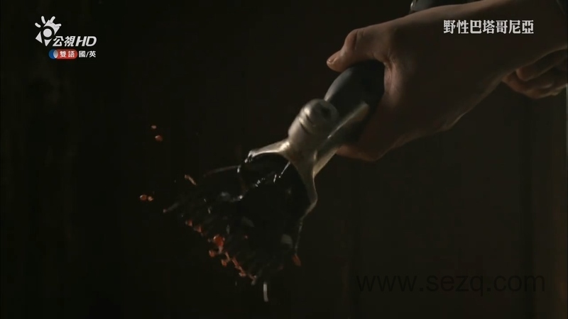 野性巴塔哥尼亚 - 动画资源画廊第7张