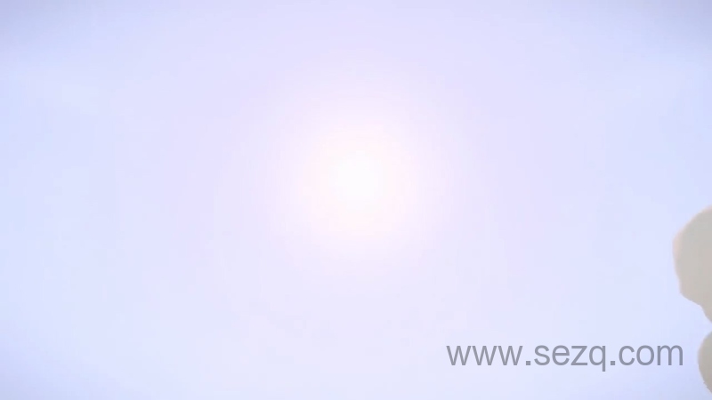 寻宝鼠小队 - 动画资源画廊第2张